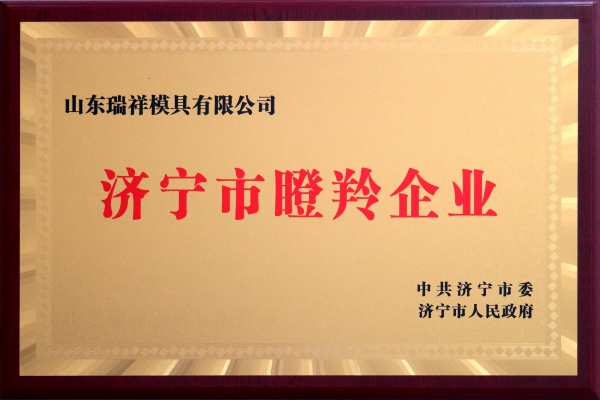 喜讯-瑞祥模具入选济宁市“瞪羚企业”